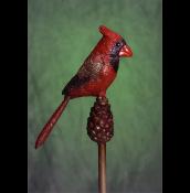 cardinal