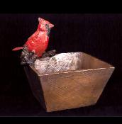 northerncardinal